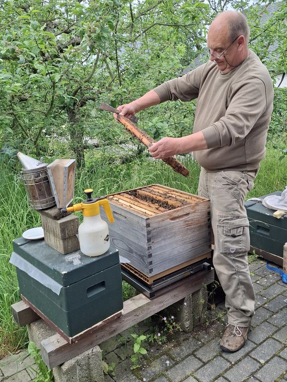 Andreas kontrolliert eine Bienenwabe